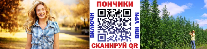 Бошки марихуана Amnesia МЕГА как зайти Истра